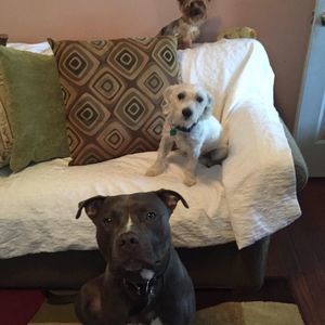 Meet your Posher, Paula