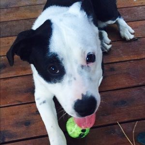 Meet your Posher, Erica