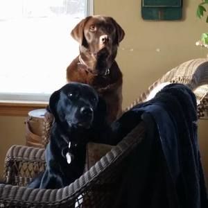 Meet your Posher, Kathleen