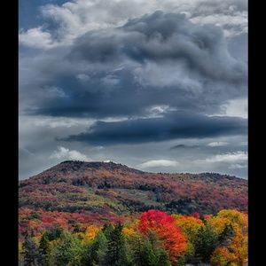 Meet your Posher, Rhonda