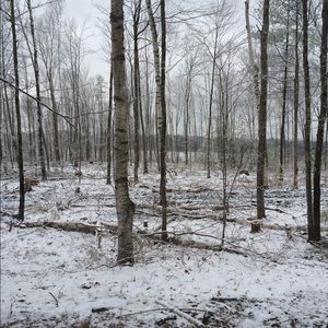 Meet your Posher, Dian