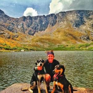 Meet your Posher, Molly