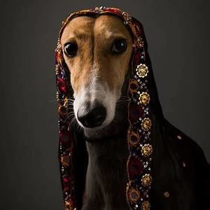 Meet your Posher, Jen