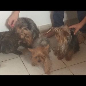 Meet your Posher, Mary