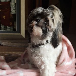 Meet your Posher, Lara