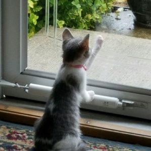 Meet your Posher, Sharon