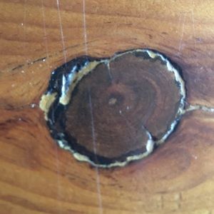 Meet your Posher, Ellen