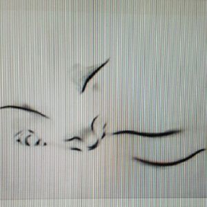 Meet your Posher, Hillary