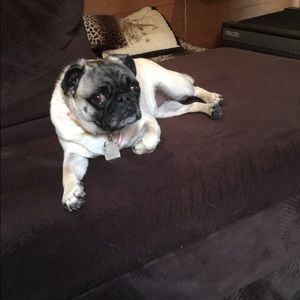 Meet your Posher, Sophie