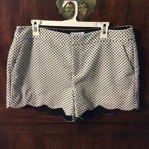 Black and White Scalloped Shorts