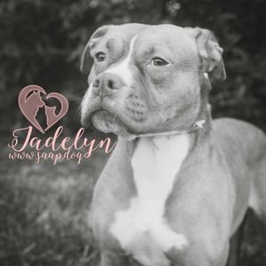 Meet your Posher, Adria