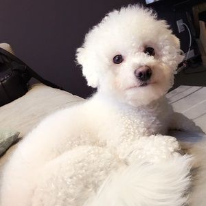 Meet your Posher, Lu