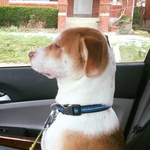 Meet your Posher, Celeste