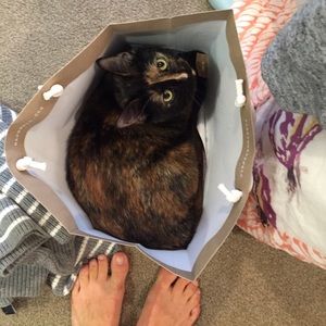 Meet your Posher, Cora