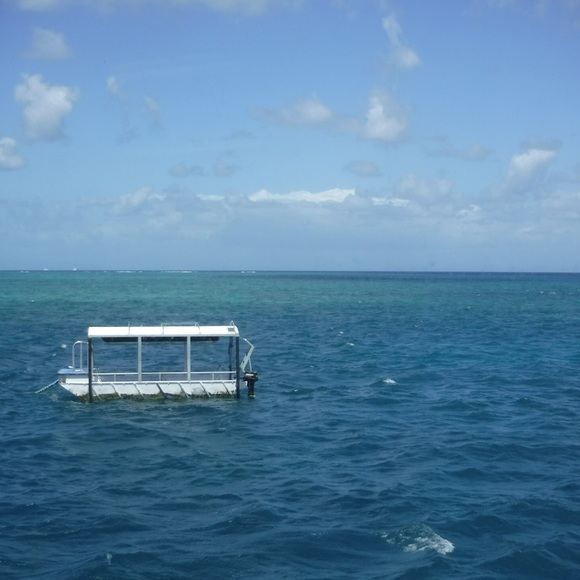 Meet your Posher, Kate - Picture 1 of 1