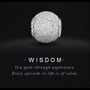 Pandora Wisdom Charm