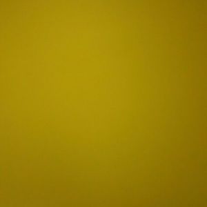 Meet your Posher, Rosalba