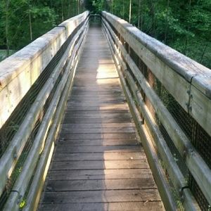 Meet your Posher, Misty