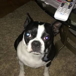 Meet your Posher, Tracy