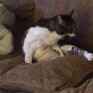 Meet your Posher, Erica