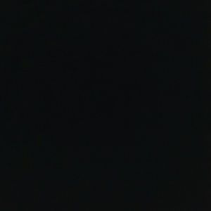 Meet your Posher, Carmen