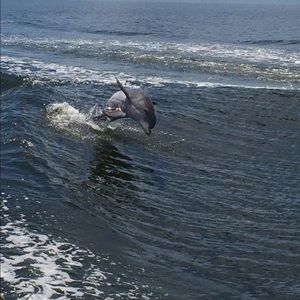 Meet your Posher, Lacey