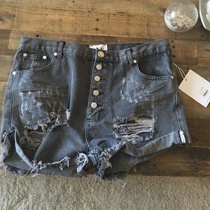One teaspoon high waisted shorts