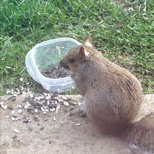 Meet your Posher, Patty