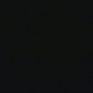 Meet your Posher, Lily