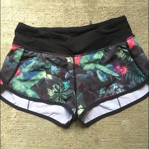 Curious Jungle Speeds