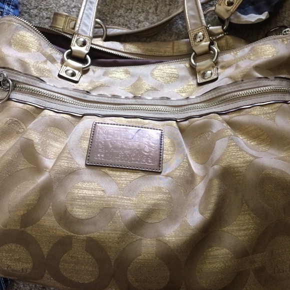 Gold coach poppy
