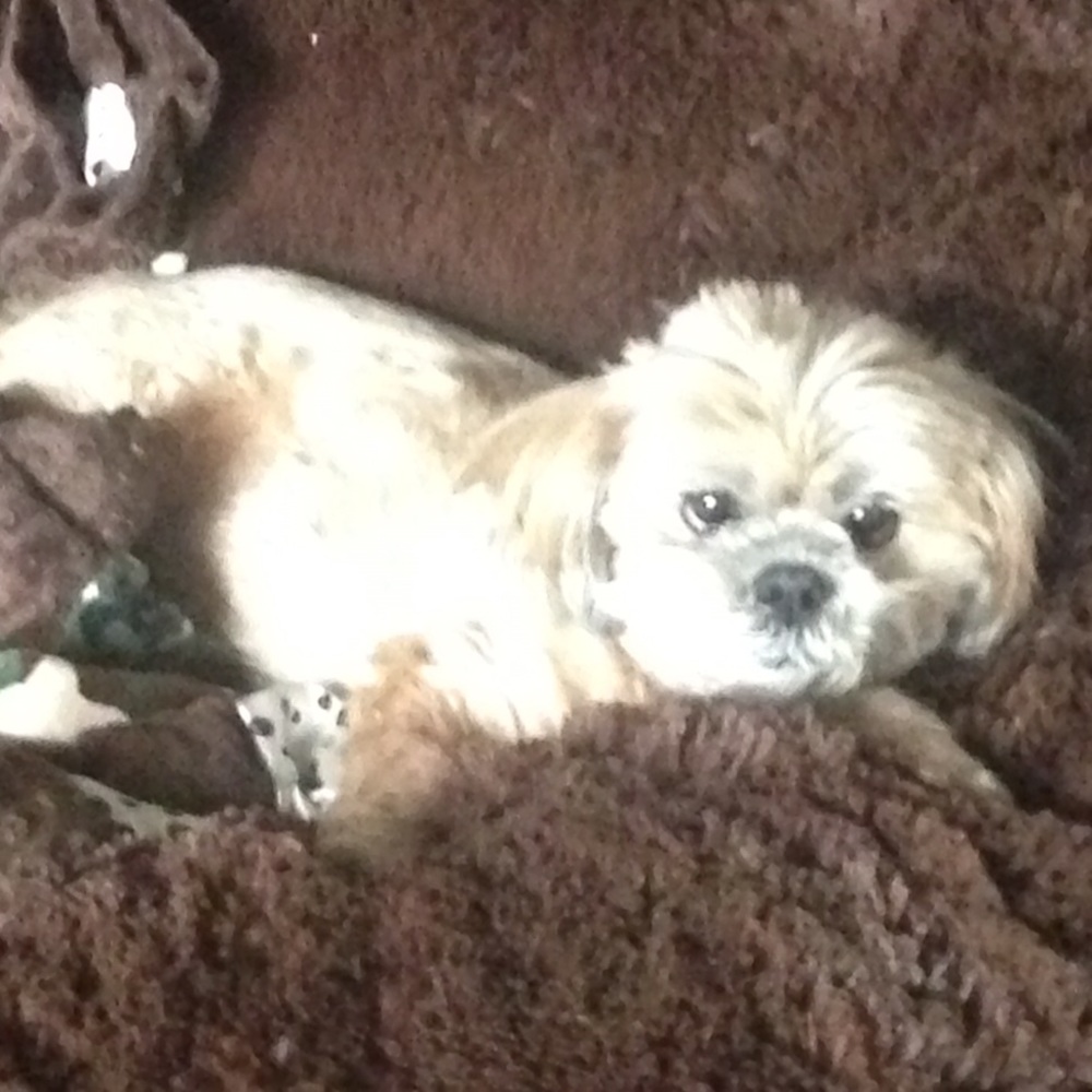 Meet your Posher, Elliot