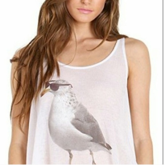 Wild fox seagull tank