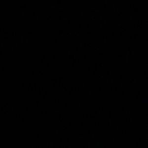 Meet your Posher, Zuri