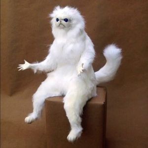 Meet your Posher, Arianna