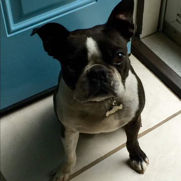 Meet your Posher, Tresa - Picture 1 of 1
