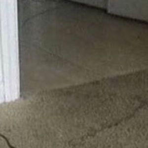 Meet your Posher, Mckenzie