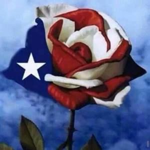 Meet your Posher, Carmen