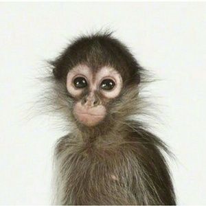 Meet your Posher, Jesse