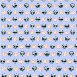 Meet your Posher, Irene