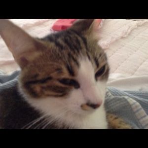 Meet your Posher, Quinn