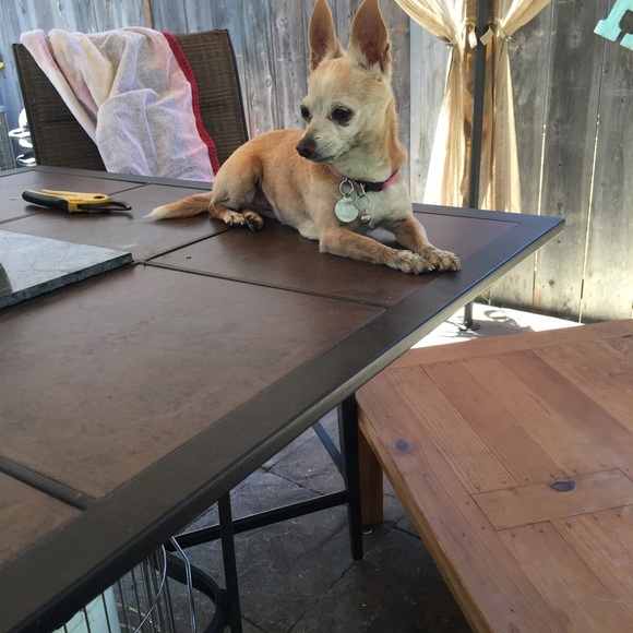 Meet your Posher, Alex - Picture 1 of 1