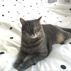 Meet your Posher, Maureen