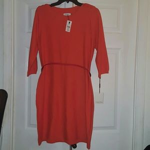Calvin Klein Sweater dress NWT