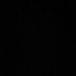 Meet your Posher, Hanna