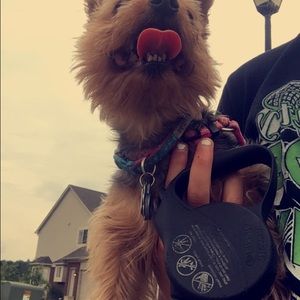 Meet your Posher, Kaylee