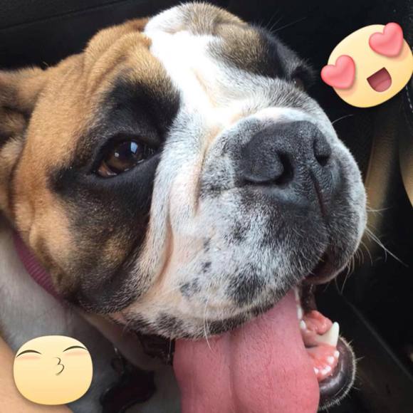 Meet your Posher, Ketzia