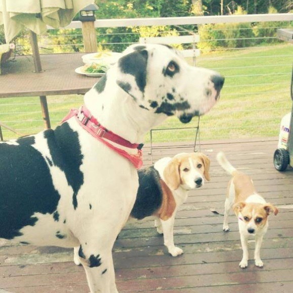 Meet your Poshmark seller, Stephanie! - Picture 4 of 4