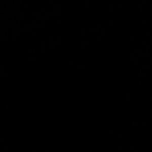 Meet your Posher, Jessie