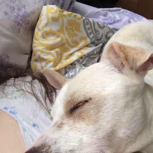 Meet your Posher, Tammy